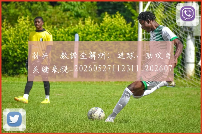 孙兴慜数据全解析：进球、助攻与关键表现_20260527112311_20260707143811