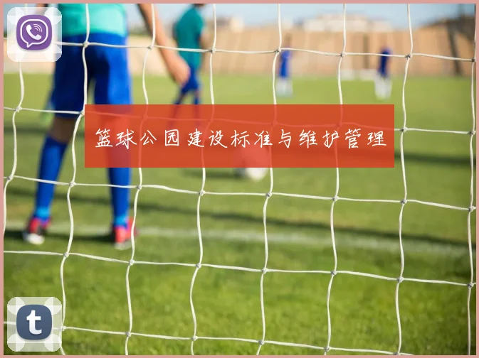 篮球公园建设标准与维护管理